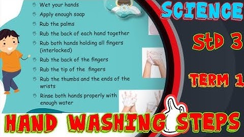 Std 3/ Science Term 1/ My Body/ Hand Washing Steps / English Medium