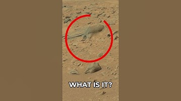 Mars Rover Curiosity SOL 713 | quicksolutions-data