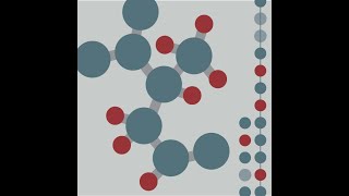 CBW Proteomics 2024 | 07.1: Multi-omics integration