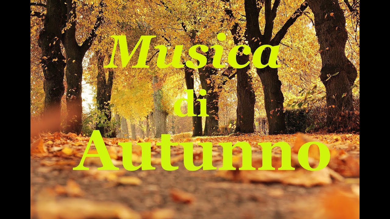 Video Di Autunno Bellissimo Ed Emozionante Video Per Celebrare L Autunno Youtube