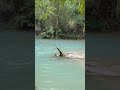 クインシーの滝