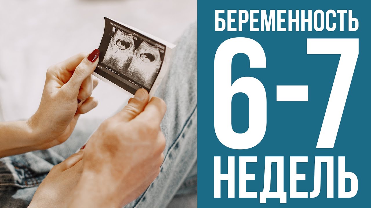 6-7 недель беременности: что происходит с малышом и как чувствует себя ...