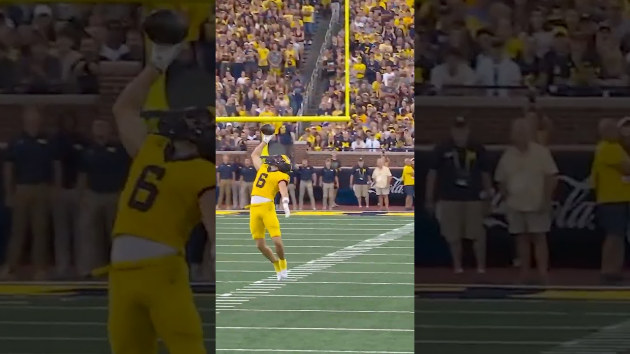 HOLY MOLY MICHIGAN 👀🏈