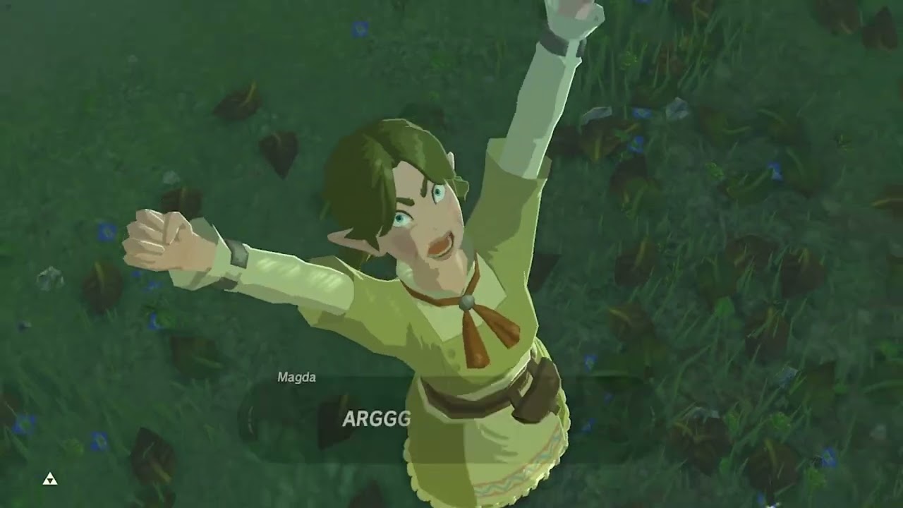 Watch Out For The Flowers The Legend of Zelda Breath of The Wild