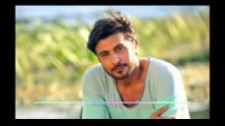 ماجد المهندس اخ قلبي