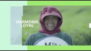 mars AKHLAK Perkebunan Nusantara PTPN Grup