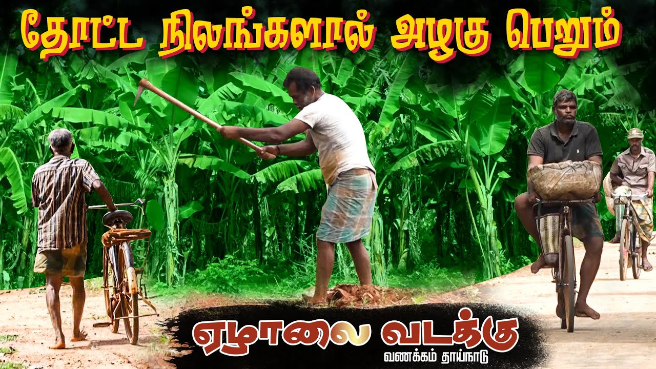 நிலத்தால் வளம் பெறும் ஏழாலை வடக்குப்பிரதேசம் | Earlalai North | Jaffna | Vanakkam Thaainadu