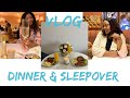 Vlogdinner  sleepover nelson mandela square johannesburg why so travelous