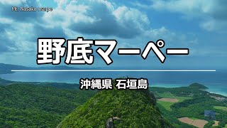絶景ドローン 野底マーペー @ 石垣島 沖縄県 4K 60p - Mt. Nosoko marpe @ Okinawa