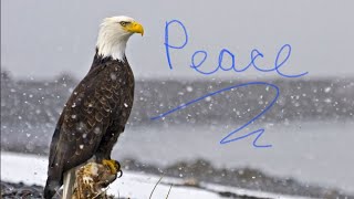 Peace of Mind #1: Get Started with YNAB
