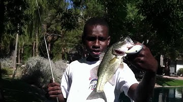 Post-Spawn Bass Fishing With Crankbaits