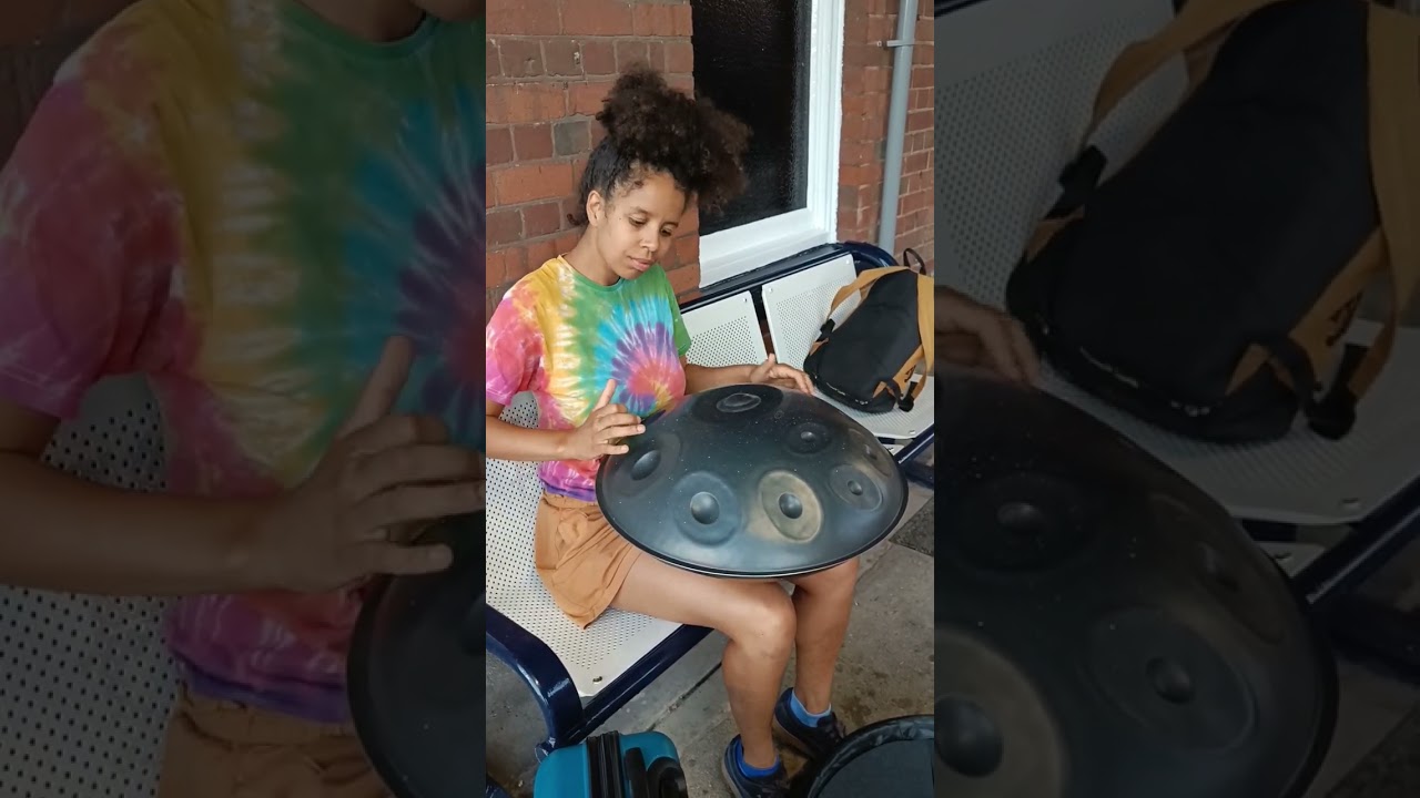 Delayed Train Handpan #short