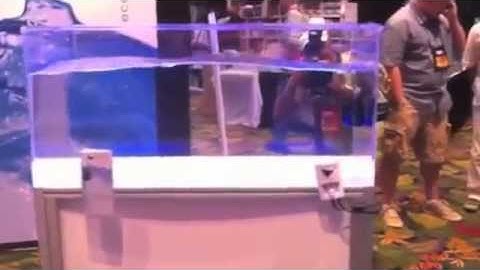 Ecotech Marine Vortech MP60W Wave Action