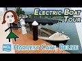 NCL Harvest Caye Excursion - Black Swan Electric Boat Cruise