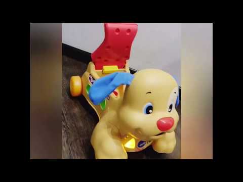 Музыкальный щенок 3 в 1: сортер-ходунок-каталка Fisher price