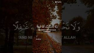 beautiful recitation of quran #ytshorts #youtubeshorts #fypシ゚viral #fyp #foryou #quranrecitation