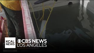 The EPA's disposal process for lithium ion batteries in the LA fires