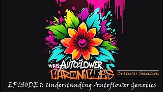 The 1st Chronicle: Cultivar Selection - Episode 1 - Understanding Autoflower Genetics.