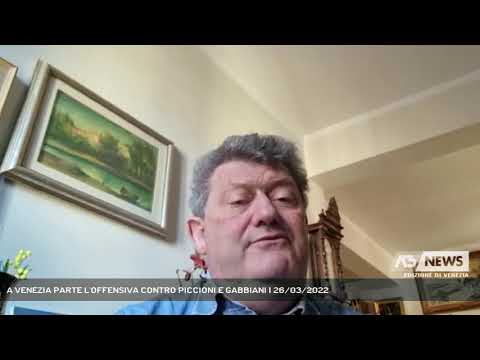 A VENEZIA PARTE L'OFFENSIVA CONTRO PICCIONI E GABBIANI | 26/03/2022