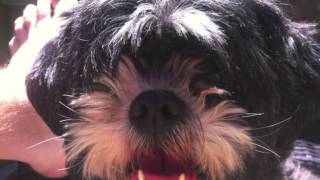 Avagardner Devil Diva ( unplugged) Videoclip