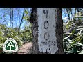 Appalachian Trail 2026 | Day 30