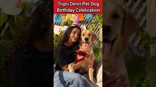 Tripti Dimri Pet Lychee Birthday Celebration #news #trending #bollywood #triptidimri #triptiidimri