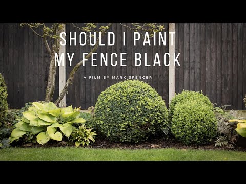 Should I paint my Fence Black?