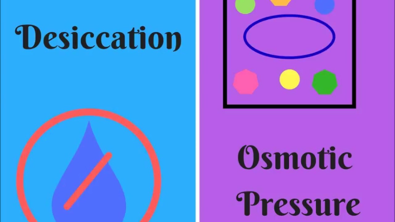 Desiccation and Osmotic Pressure How to Study Microbiology YouTube