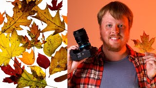 Photographing Stunning Backlit Autumn Leaf Detail!