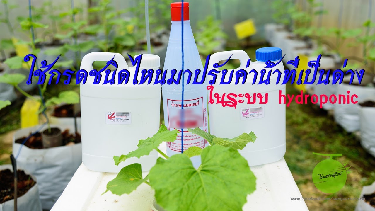 น้ำในระบบ hydroponic เป็นด่างใช้กรดชนิดไหนปรับดี?