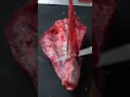 肉屋にとって卸売は生命線です。#nikuhack #asmr #肉磨き