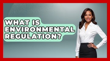 What Is Environmental Regulation? - Learn About Economics