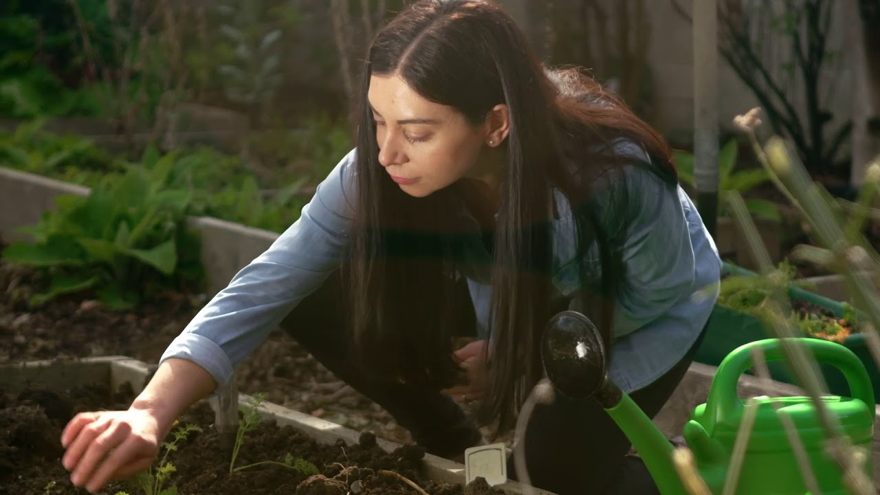 Bord Bia Gardening TV Ad