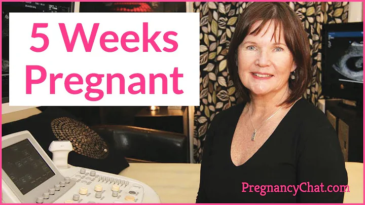 "5 Weeks Pregnant" by PregnancyChat.com @PregChat