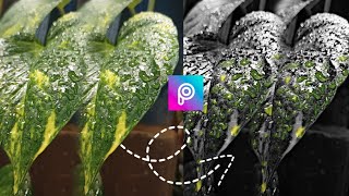 How to Edit Photos in Mobile using PicsArt ( Raindrops colorize ) | Moshi Villacido screenshot 5