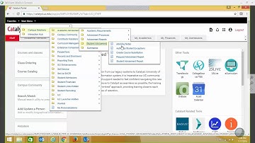 Catalyst WebEx Series: Degree Audit Exceptions - Requirement Waiver