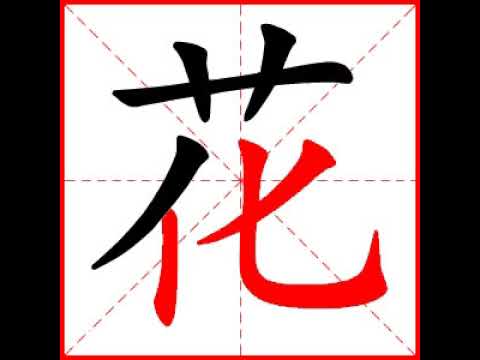 【一笔一划写中文】怎样写花字,花字怎么写,How to write chinese - YouTube