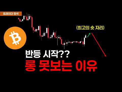 [비트코인 전망] 반등시작?? 지금 상승 너무 위험합니다 (08.17 차트분석)