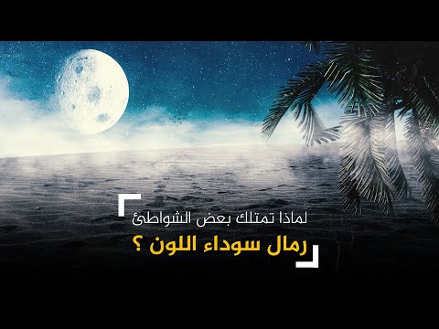 فيديو: أفضل شواطئ الرمال السوداء في العالم