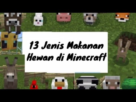 13 Jenis makanan hewan di minecraft Bareng Idi Mama|| Minecraft PE.