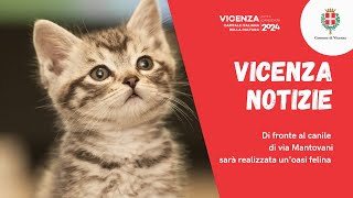 Comune di Vicenza | Di fronte al canile di via Mantovani sarà realizzata un’oasi felina