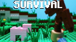 LEGO Minecraft Survivial Adventure IN FIRST PERSON (Stop Motion Animation)