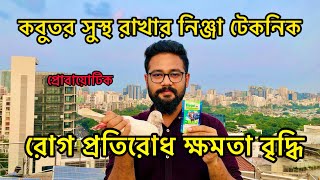 কবুতরের রোগ প্রতিরোধ ক্ষমতা বৃদ্ধি - কবুতর সুস্থ রাখার নিঞ্জা টেকনিক - প্রোবায়োটিক - কবুতরের রিকোভার