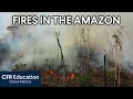 Amazon Rainforest and Global Climate Change