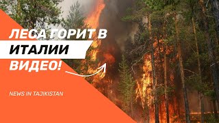 СРОЧНО 🔥 ЛЕСА ГОРЯТ И В ИТАЛИИ 02.08.2021