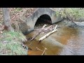 Lake Drain Culvert Collapse/ Sinkhole UPDATE 11-5-2019