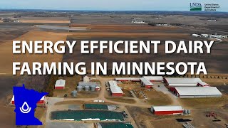 Energy Efficient Dairy Farming in Minnesota
