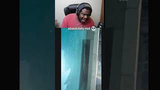 I would never swim again after seeing this 💀 #shorts #reaction #viral