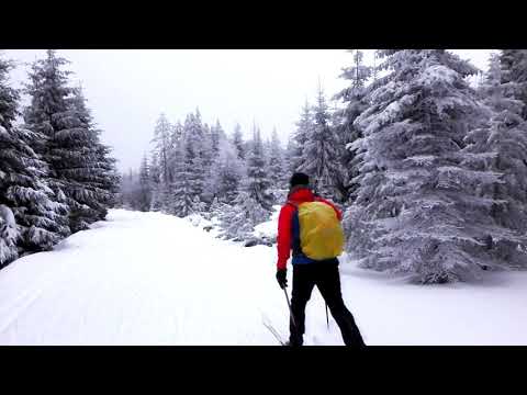 Video: Průvodce běžeckým lyžováním v Německu