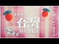 【台灣旅行】台北爆食ひとり旅|激安！激ウマ！B級グルメ攻略|台北はかわいいもの天国だった